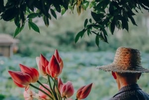 Chengdu: Besuche die chinesische Landschaft