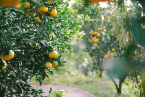Chengdu: Besøg det kinesiske landskab