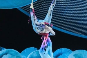 Excursión Combinada de Acrobacia y Espectáculo de Ópera en Pekín