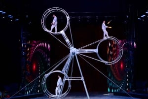 Excursión Combinada de Acrobacia y Espectáculo de Ópera en Pekín