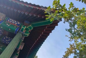 Forbidden City & Prince Gong's Mansion: Hutong Experience