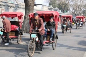 Forbidden City & Prince Gong's Mansion: Hutong Experience