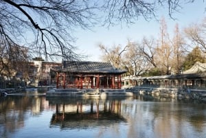 Forbidden City & Prince Gong's Mansion: Hutong Experience
