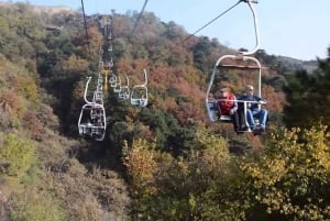 Depuis le port de croisière de Taijin : visite touristique de Pékin en 2 jours