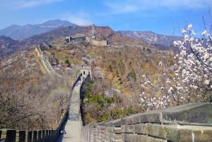 Depuis le port de croisière de Taijin : visite touristique de Pékin en 2 jours