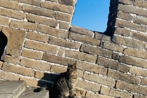Beijing: Great Wall Layover Tour with a Native