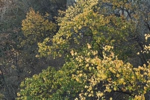 Частные трансферы по Великой китайской стене в Пекине