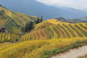Guilin: Dagstur till Longji risterrasser och Yangshuo