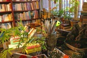 Visite à pied des hutongs : Découvrez le vrai Pékin sans les foules