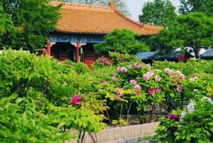 Beijing: JingShan park (palassets museumshage) inngangsbillett