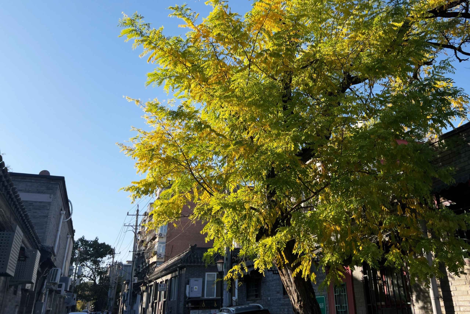 Lama-tempeltur med billetter: Beijings skjulte hellige verden