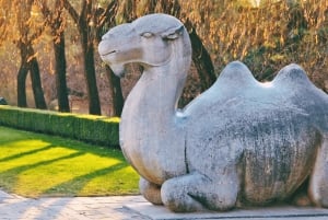 Ming Tombs Admission Ticket