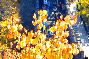 Transport t/r til Den Kinesiske Mur i Mutianyu med chauffør og billet