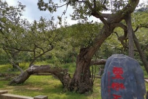 Dagstur till Mutianyu-muren + biljett + guide