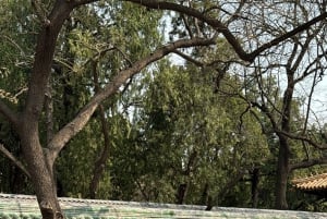 Sykkeleventyr i Beijings gamle hutonger