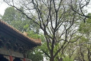 Sykkeleventyr i Beijings gamle hutonger