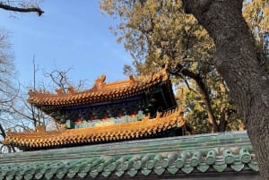 Sykkeleventyr i Beijings gamle hutonger