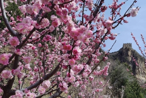 Yksityinen englanninkielinen kuljettaja Pekingissä, 3 osaan jaettu Suuri muuri