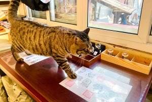 Tour privado: brunch y paseo por el casco antiguo de Pekín