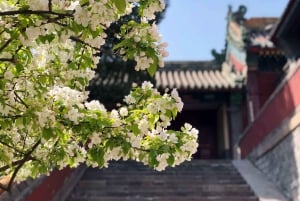 Tour privato personalizzato dei giardini di Pechino