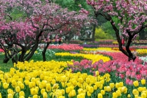 Tour privato personalizzato dei giardini di Pechino