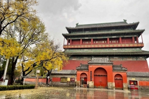 Privat dagstur til Den Himmelske Freds Plads, Den Forbudte By & Hutong