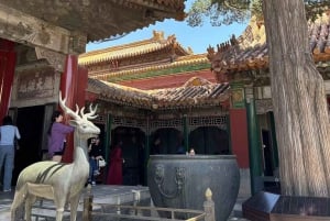 Höjdpunkter i Peking: Förbjudna staden, Himmelens tempel + anka