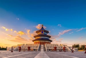 Tour privato alla Casa del Panda con Grande Muraglia o tour della città