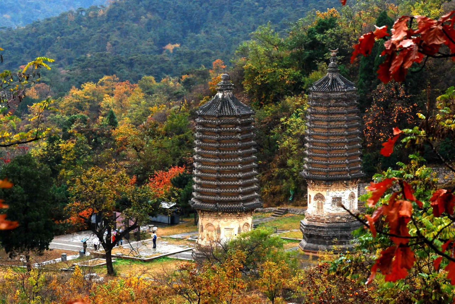 Tour particular à floresta de Pagodes de Yinshan com actividades opcionais