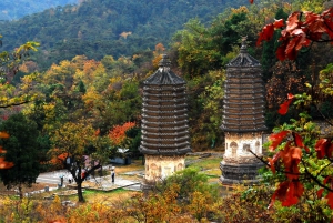 Private Tour to Yinshan Pagoda Forest w/Optional Activities