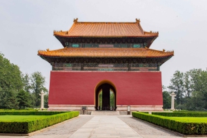 Tour particular à floresta de Pagodes de Yinshan com actividades opcionais