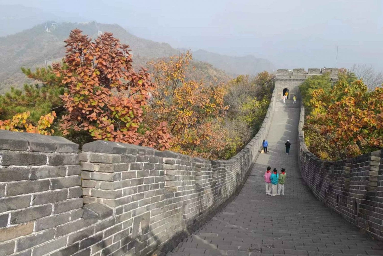 Private Trip to Great Wall+Panda House with English Driver