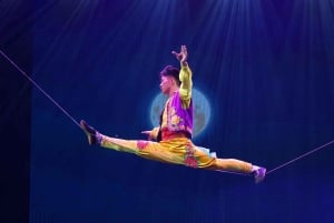 北京レッドシアターアクロバットショーのチケット