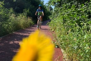 Visite privée avec guide au lever du soleil sur le lac Skadar