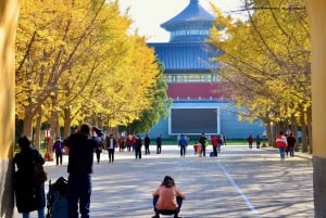 Small-Group Beijing City Highlights Tour With Lunch