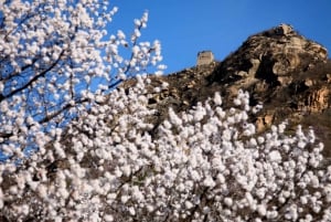 Liten grupp till Mutianyu Great Wall inklusive upphämtning från hotell