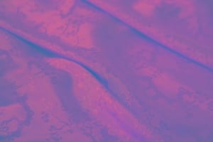 Tour en grupo reducido de la Gran Muralla de Juyongguan y la Vía Sagrada