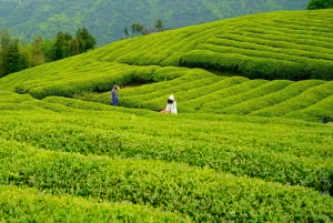 Tour en grupo reducido de la Gran Muralla de Juyongguan y la Vía Sagrada