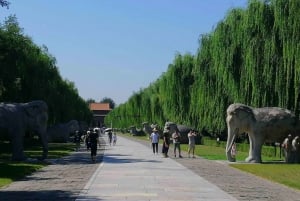 Tour en grupo reducido de la Gran Muralla de Juyongguan y la Vía Sagrada