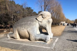Tour en grupo reducido de la Gran Muralla de Juyongguan y la Vía Sagrada