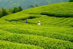 Pienryhmäretki Juyongguanin muurille ja pyhälle tielle