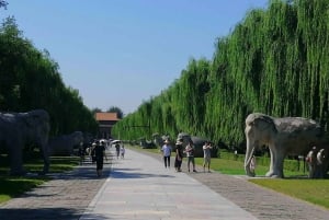 Pienryhmäretki Juyongguanin muurille ja pyhälle tielle