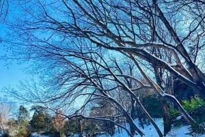 SummerPalace o templo del cielo Ticket de entrada con guía(opcional)