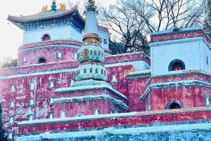 SummerPalace o templo del cielo Ticket de entrada con guía(opcional)