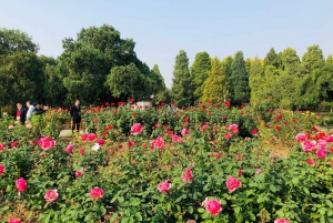 Tempel des Himmels Ticket