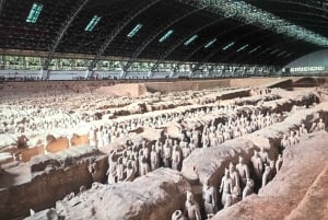 Inngangsbillett til Terrakottahæren