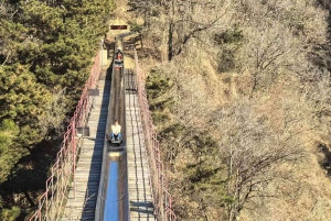 Tianjin: Beijing Heritage Blitz/3 tour curati in treno