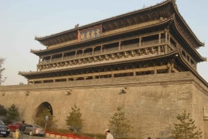 Xi'an: Entrada nos Guerreiros de Terra-Cota com guia opcional