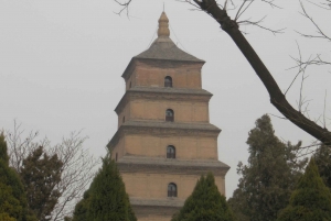 Xi'an: Entrada nos Guerreiros de Terra-Cota com guia opcional