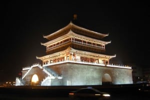 Xi'an: Entrada nos Guerreiros de Terra-Cota com guia opcional